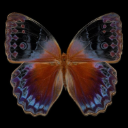 Brooke avatar - Minti